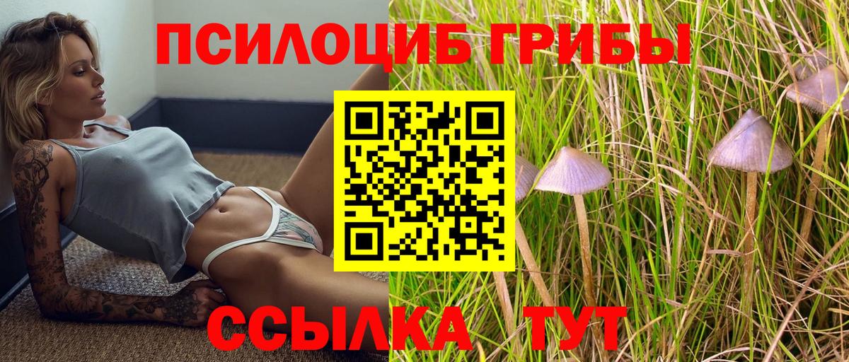 Галлюциногенные грибы Psilocybine cubensis  Вход с VPN  Черкесск  Псилоцибиновые грибы мицелий 