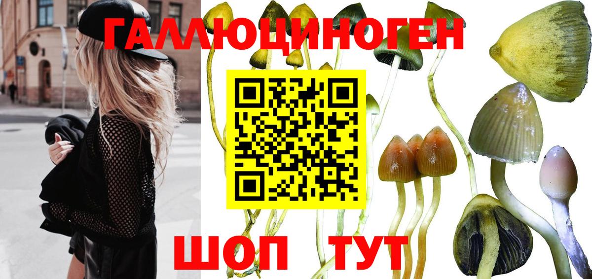 Галлюциногенные грибы ЛСД Черкесск